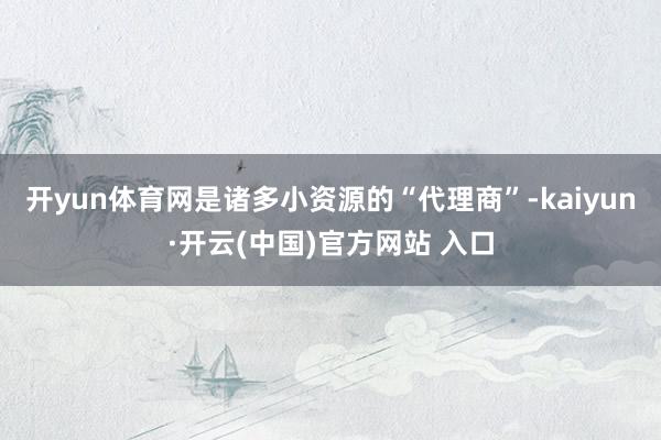 开yun体育网是诸多小资源的“代理商”-kaiyun·开云(中国)官方网站 入口