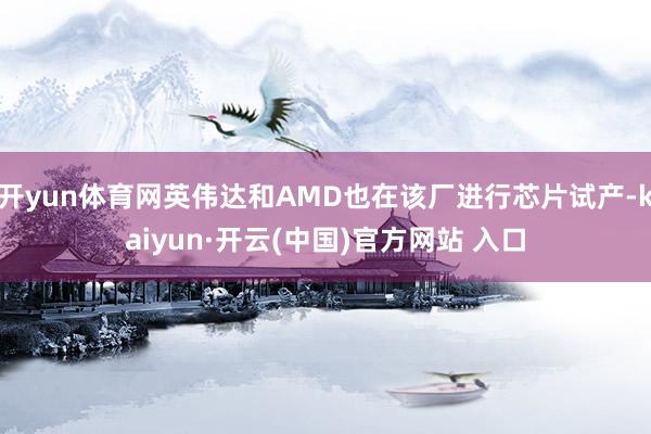 开yun体育网英伟达和AMD也在该厂进行芯片试产-kaiyun·开云(中国)官方网站 入口
