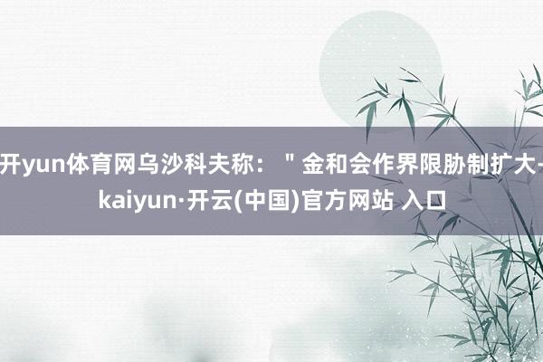 开yun体育网乌沙科夫称：＂金和会作界限胁制扩大-kaiyun·开云(中国)官方网站 入口