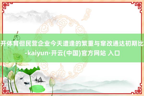 云开体育但民营企业今天遭逢的繁重与窜改通达初期比拟-kaiyun·开云(中国)官方网站 入口