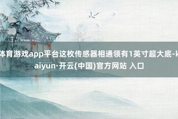 体育游戏app平台这枚传感器相通领有1英寸超大底-kaiyun·开云(中国)官方网站 入口