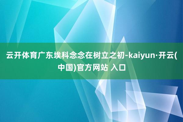 云开体育广东埃科念念在树立之初-kaiyun·开云(中国)官方网站 入口