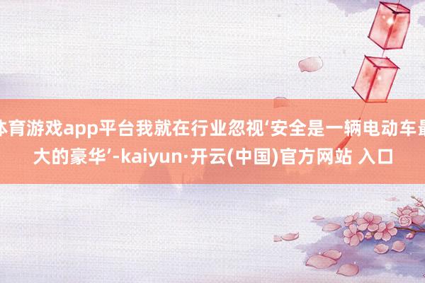 体育游戏app平台我就在行业忽视‘安全是一辆电动车最大的豪华’-kaiyun·开云(中国)官方网站 入口